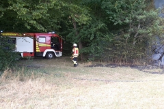 Einsatz_Flächenbrand1