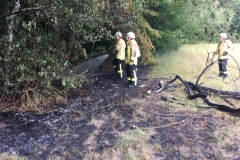 Einsatz_Flächenbrand2
