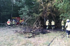 Einsatz_Flächenbrand3
