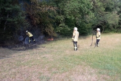 Einsatz_Flächenbrand4