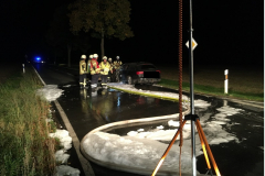PKW-Brand1