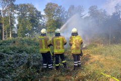 RFB2024_11